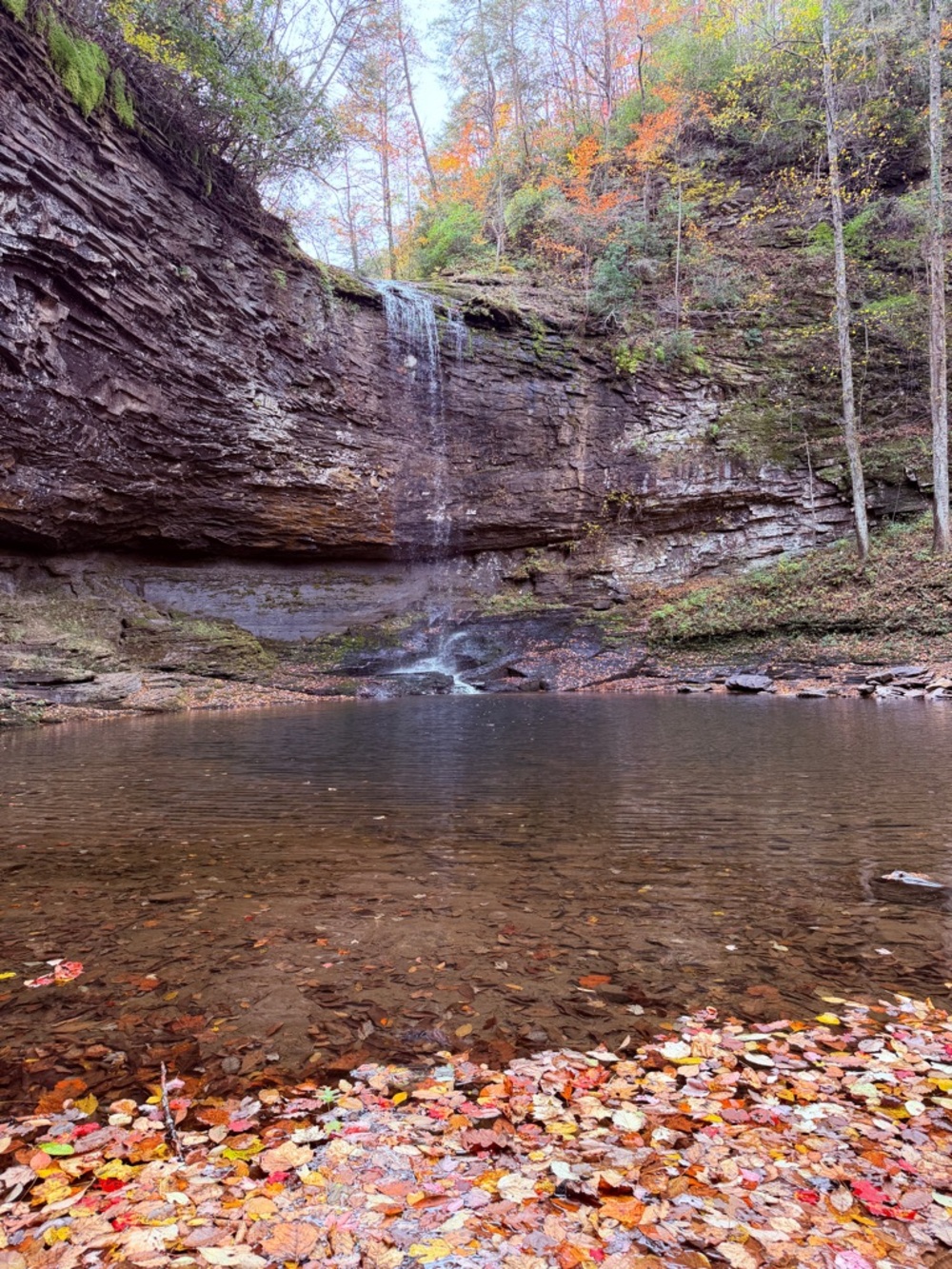 Meet your Posher, Janice